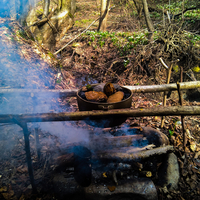 Трут, кресало, bushcraft, бушкрафт, трутовики, клюкарза, вирізання лож
