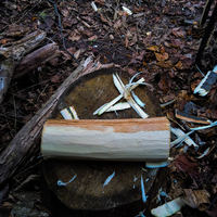 Трут, кресало, bushcraft, бушкрафт, трутовики, клюкарза, вирізання лож