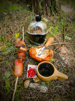 Ловля щуки, похід вихідного дня, рибалка, кукса, Чага, лісова суниця,