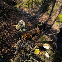 бушкрафт, похід вихідного дня, осмол, огниво, кресало, трут, трутовик,