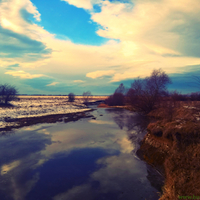 лісова кухня, ложкоріз, вироби з дерева, бушкрафт, вудкрафт, похід вих