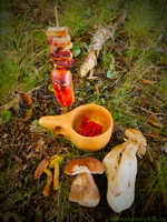 Ловля щуки, похід вихідного дня, рибалка, кукса, Чага, лісова суниця,
